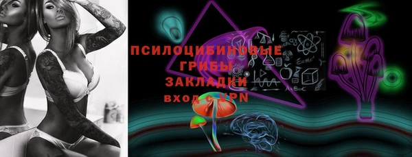 шишки Медногорск