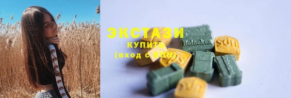 ECSTASY Гусев