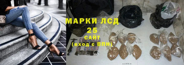 шишки Медногорск